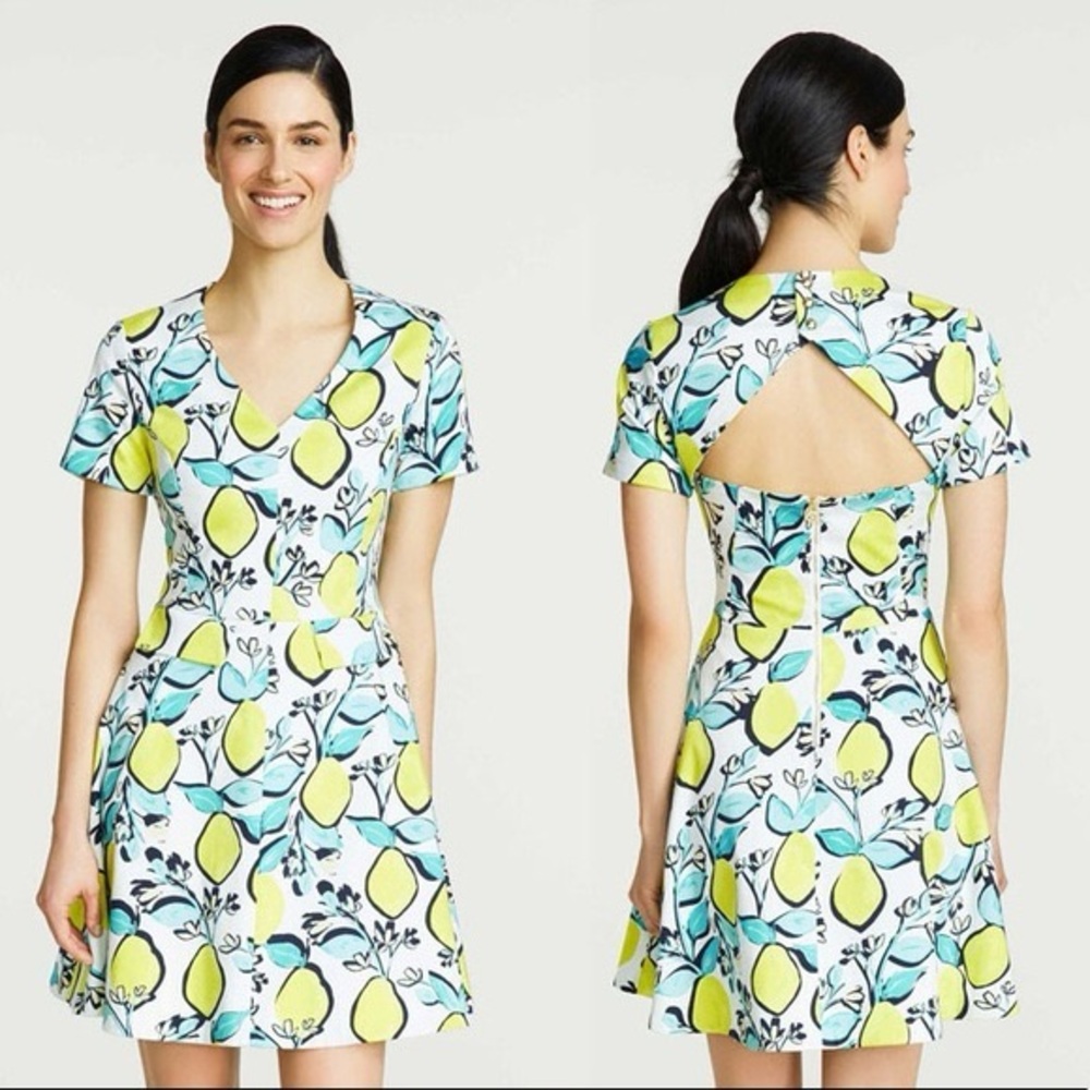 Draper James Lemon Orchard Circle Dress